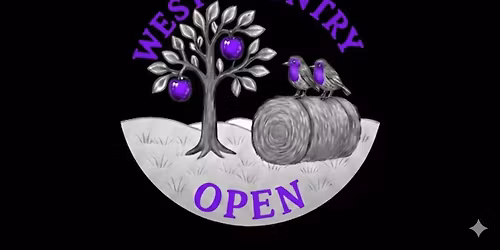 WIDA West Country Open Feis