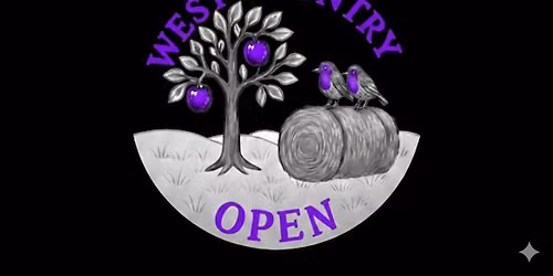 WIDA West Country Open Feis