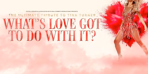 What\u2019s Love Got To Do With It?