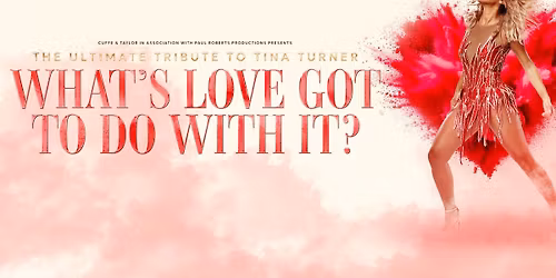 What\u2019s Love Got To Do With It?