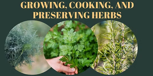 Growing, Cooking, and Preserving Herbs