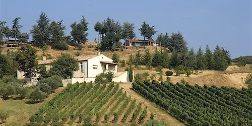 Jean-Luc Colombo Winery Tasting at Bacchus Wine and Debauchery