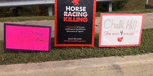 Outreach for the Horses - Maryland State Fair