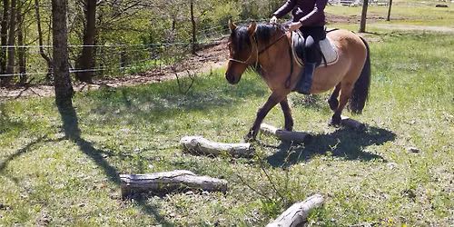 Stage PTV et Mountain Trail