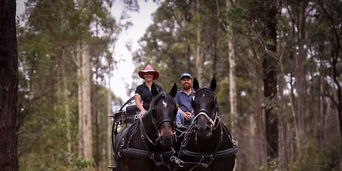 3 Rivers Hinterland Treasure Trail Carriage Rides - Tocal Homestead