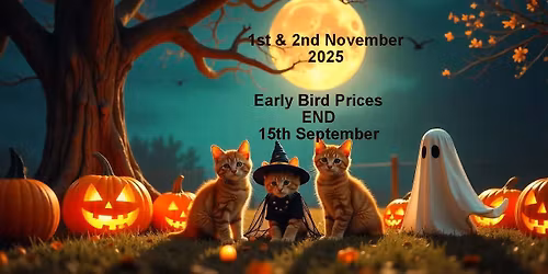 Strictly Cats Halloween Spooktacular Show