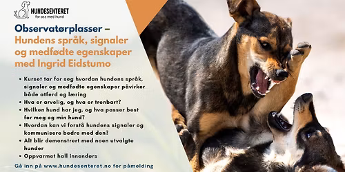 Observat\u00f8rplasser \u2013 Hundens spr\u00e5k, signaler og medf\u00f8dte egenskaper med Ingrid Eidstumo 