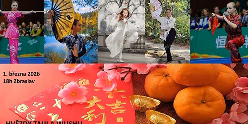 HV\u011aZDY TAIJI A WUSHU - ROK OHNIV\u00c9HO KON\u011a 2026