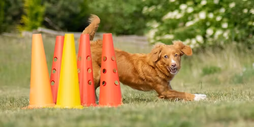 2.kvalifika\u010dn\u00e9 preteky na Majstrovstv\u00e1 sveta 2026 v Obedience