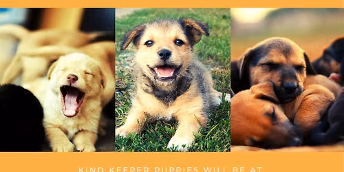Kind Keeper Adoptions @ North Myrtle Beach PetSmart