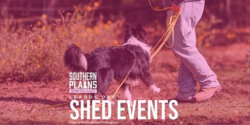 League Day - Spring Shed