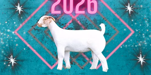 2026 Marshall County 4H Goat Show