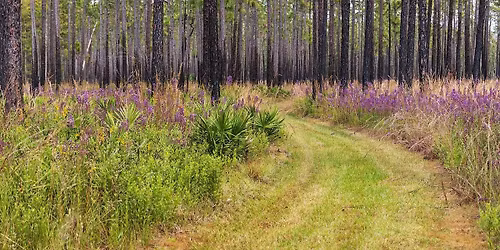 Turkey Trek: 4 mile guided hike