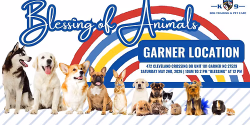 Blessing of Animals