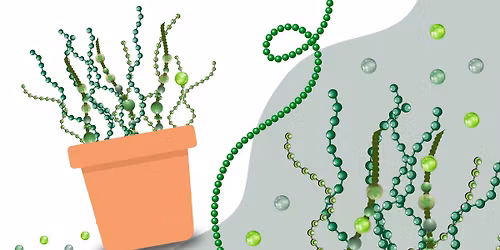 Teen Art Club | Beaded Plants