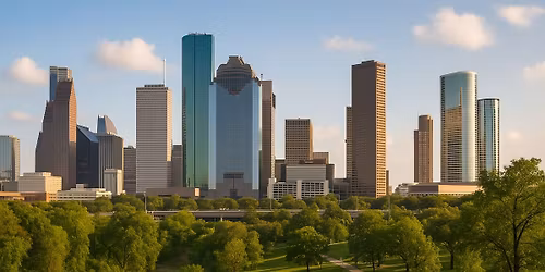 Parking Drunk Dracula - Houston