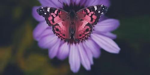 Spring Equinox Circle