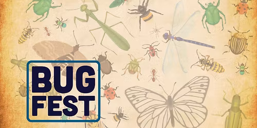 Bug Fest
