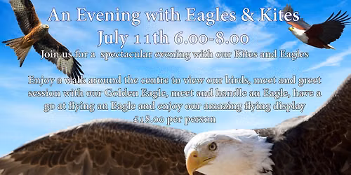 Giants of the Sky - An Evening of Eagles & Kites