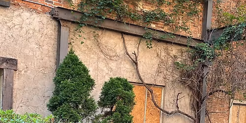 Plein Air Painting on the Patio 