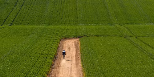 Gears + Beers Festival - Oct 2026 \/\/ Wagga Wagga NSW