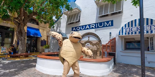 World Sea Turtle Day with Save-A-Turtle!