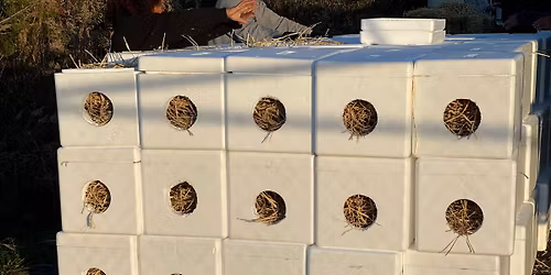 FOHCAS Winter Cat Shelter Distribution