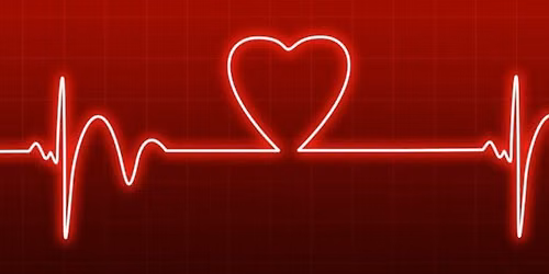 BLS certification for Healthcare Providers $85