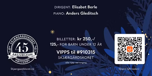 Et \u00f8nske til jul: en jul for alle