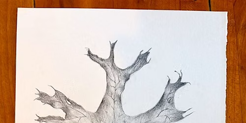 Wild Earth Gathering Sunday, September 6th, 3 PM, Carderock