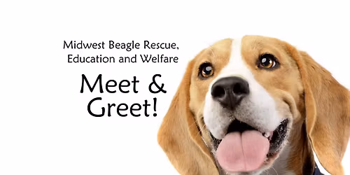 Beagle Meet, Greet and Bracelet Making in Downers Grove, IL