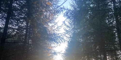 Ultravandringen 006 - Beyond the Ridge (25 & 50 km) 