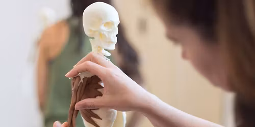 Anatomy in 3D | Corso di Anatomia - Vicenza