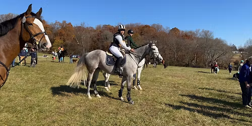 Cavaletti clinic with Ashley Norris