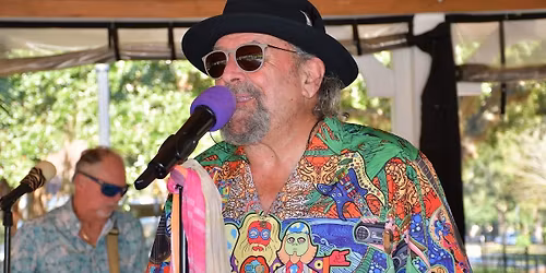 Party in The Park with DD Band!