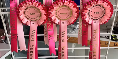 Pink dressage in aid of Cancer Research UK