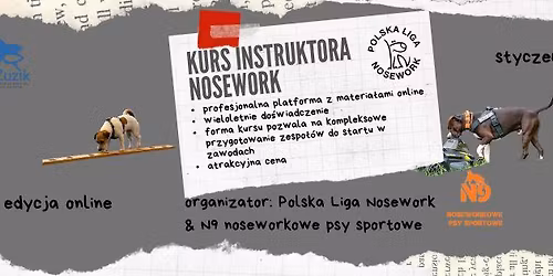 Kurs Instruktora Nosework - edycja online stycze\u0144 2026