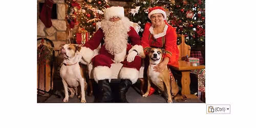 Santa Paws Photo Shoot