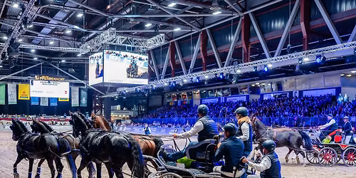 Chemnitzer Pferdenacht 2026