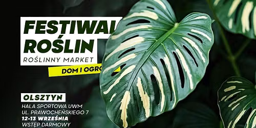 Festiwal Ro\u015blin w Olsztynie - wielki market ro\u015blin w supercenach