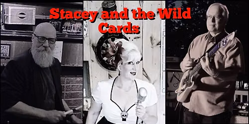 Stacey and the Wild Cards at The JFK Catholic School Summer Festival 