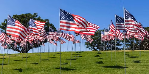 Flag Deployment Veterans Day