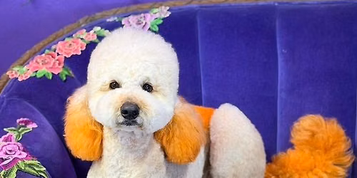 The Bewitched Howl-O-Ween Bash