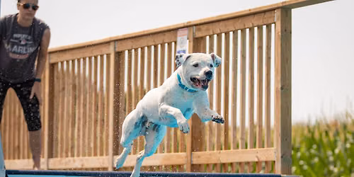 DockDogs® at Sega Family Farms