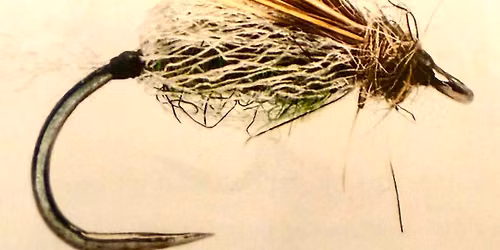 July Fly-tying Event Sparkle Dun Caddis #16