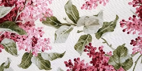 Floral Images from the National Archives - Explore and Create