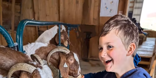 Kelley\u2019s Farmstead Baby Animal Barn 