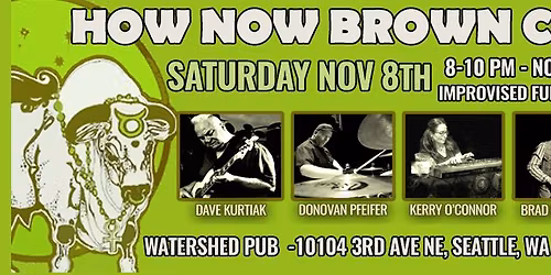 Live at the 'Shed feat. How Now Brown Cow