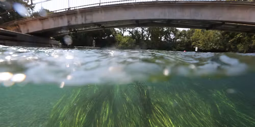 San Marcos River Cleanup
