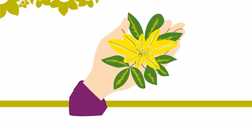 Millbrook Growers Gravesend - Tactile Plants to Touch & Feel